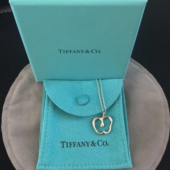 Authentic Tiffany&Co Elsa Peretti Silver Necklace - Picture 11 of 11